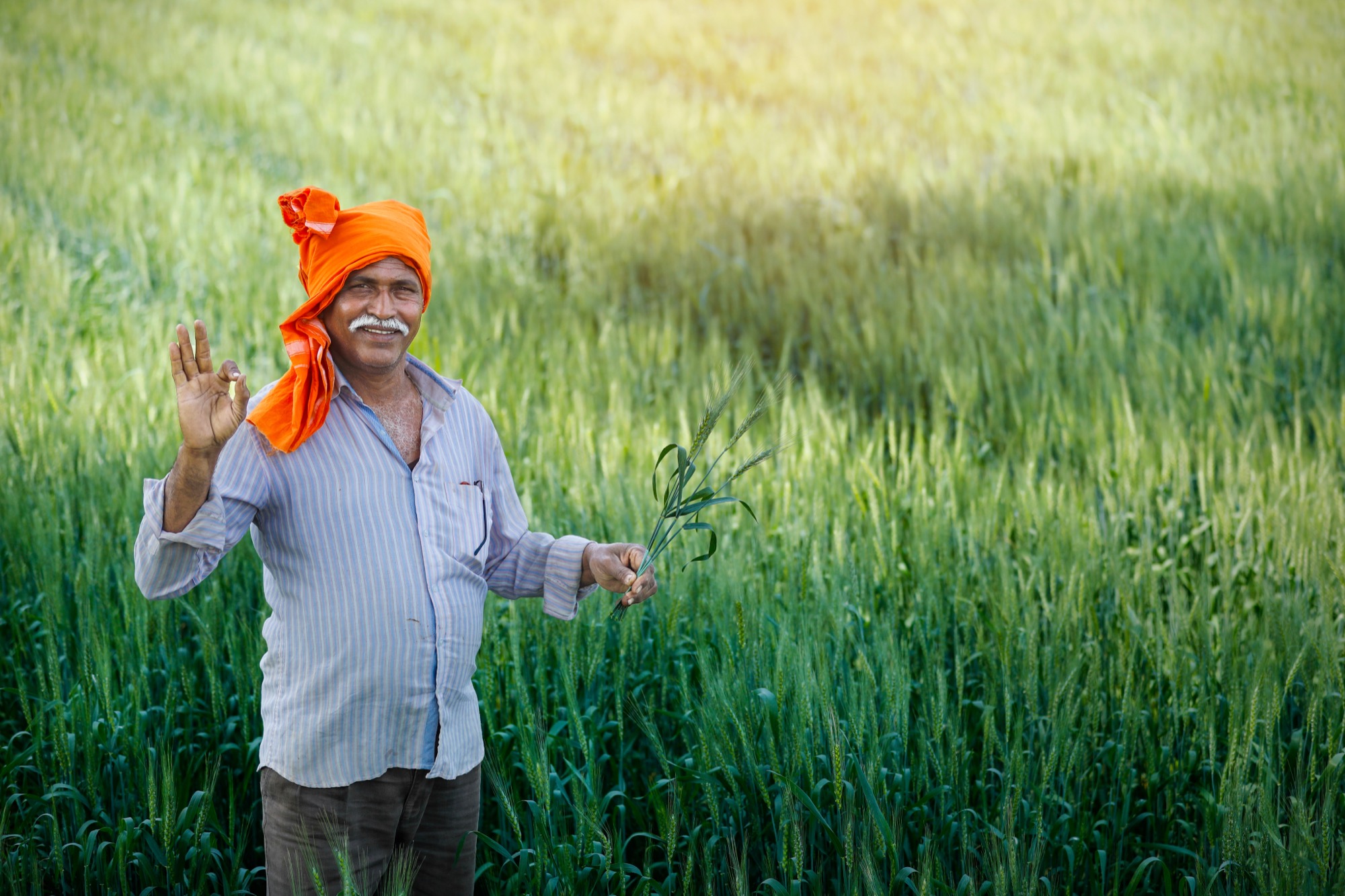 A GD Farm Fresh farmer tending the fields
